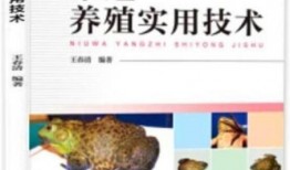 牛蛙饲养爆料视频教程全集,揭秘视频教程全集精华